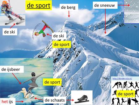 de sport de sneeuw de berg de ski de ski de sport de ijsbeer de sport