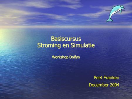 Basiscursus Stroming en Simulatie Workshop Dolfyn Peet Franken December 2004.
