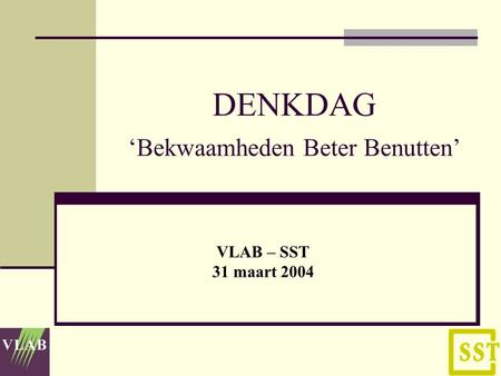 DENKDAG ‘Bekwaamheden Beter Benutten’ VLAB – SST 31 maart 2004.