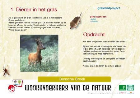 1. Dieren in het gras Opdracht graslandproject Bossche Broek