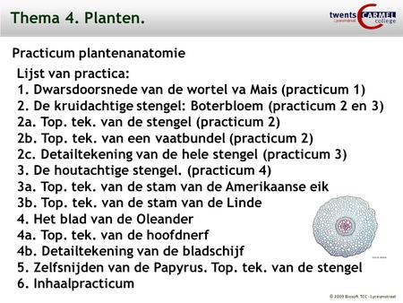 Thema 4. Planten. Practicum plantenanatomie Lijst van practica: