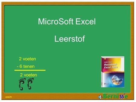 MicroSoft Excel Leerstof 2 voeten - 6 tenen 2 voeten.