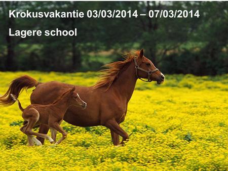 Krokusvakantie 03/03/2014 – 07/03/2014 Lagere school.