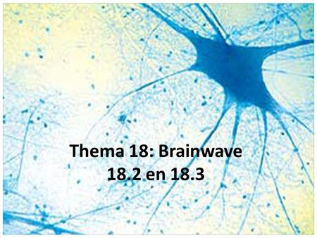 Thema 18: Brainwave 18.2 en 18.3.