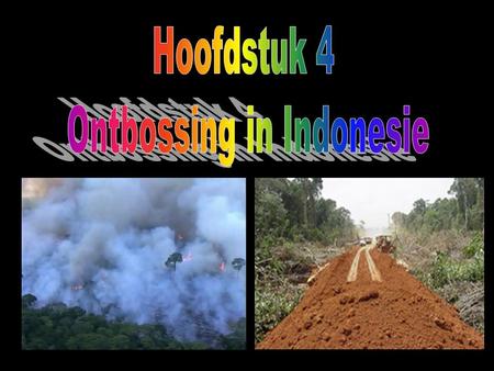 Ontbossing in Indonesie