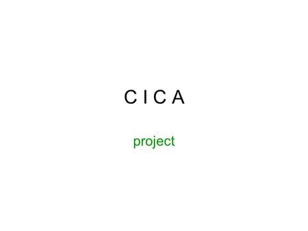 C I C A project. C I C A Studiejaar 2008-2009, tweede semester “Laat duizend bloemen bloeien”