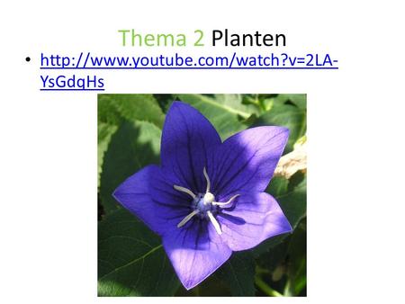 Thema 2 Planten http://www.youtube.com/watch?v=2LA-YsGdqHs.