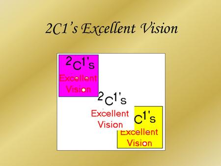 2C1’s Excellent Vision. Mission: 2C1’s Excellent Vision wil in de markt opvallen doordat onze klanten hogere rendementen behalen dan die bedrijven waarvoor.