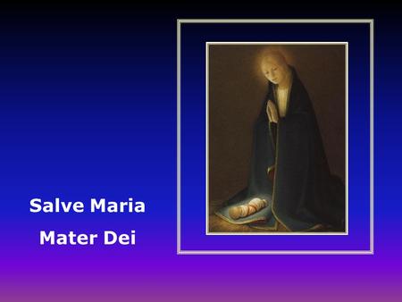 Salve Maria Mater Dei.