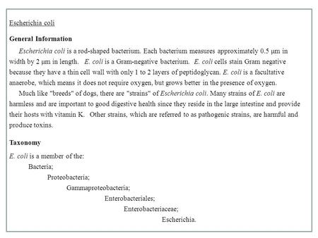 Escherichia coli General Information