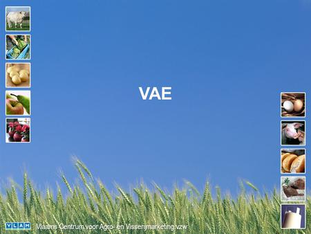 Vlaams Centrum voor Agro- en Visserijmarketing vzw VAE.