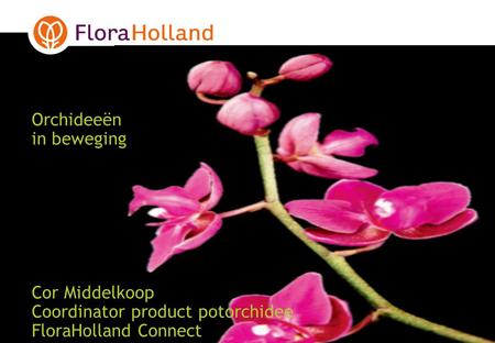 Orchideeën in beweging Cor Middelkoop Coordinator product potorchidee