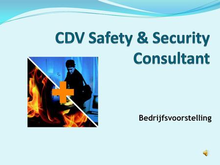 CDV Safety & Security Consultant