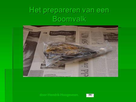 Het prepareren van een Boomvalk door Hendrik Hoogeveen.