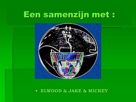 Een samenzijn met : ELWOOD & JAKE & MICKEY.