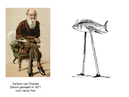 Cartoon van Charles Darwin gemaakt in 1871 voor Vanity Fair
