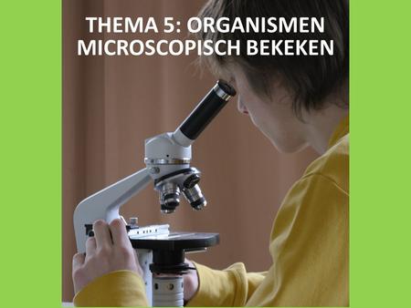 THEMA 5: ORGANISMEN MICROSCOPISCH BEKEKEN