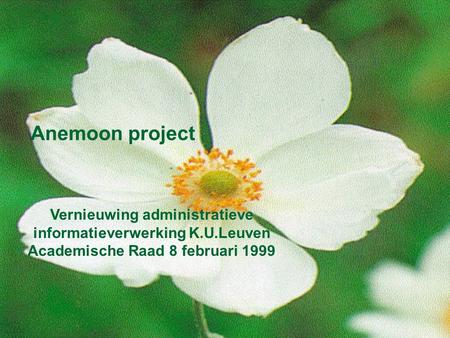 Anemoon project Vernieuwing administratieve informatieverwerking K.U.Leuven Academische Raad 8 februari 1999.