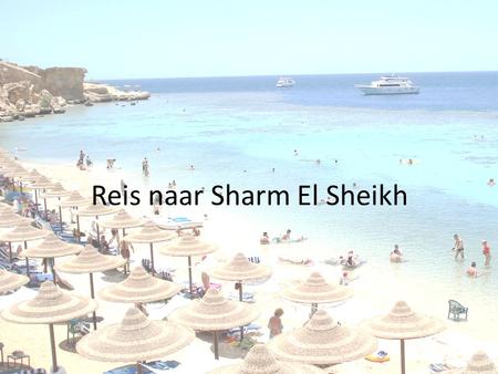 Reis naar Sharm El Sheikh. Planning reis 10/07/2014Aankomst in hotel om 20:20 11/07/2014 Duik tussen de koraalriffen + bezoek aan het Ras Mohammed Nationaal.