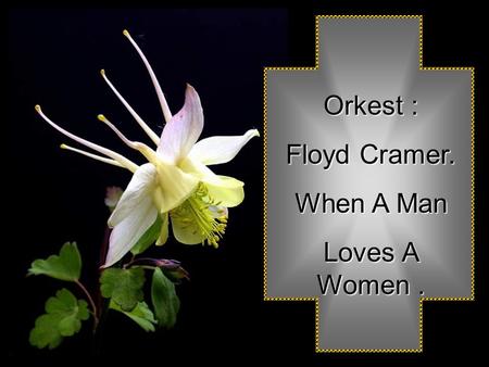 Orkest : Floyd Cramer. When A Man Loves A Women.