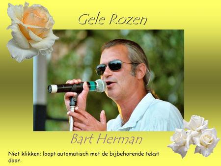 Gele Rozen Bart Herman Niet klikken; loopt automatisch met de bijbehorende tekst door.