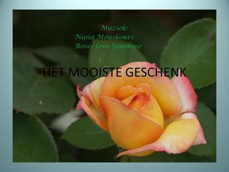 Muziek: Nana Mouskouri Roses love Sunshine