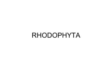 RHODOPHYTA.