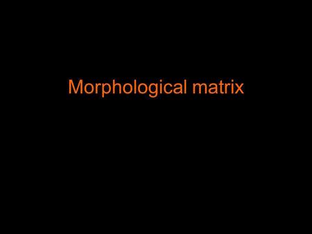 Morphological matrix. Ideetjes komen vanuit je gevoel. Morphological matrix.