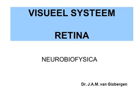VISUEEL SYSTEEM RETINA