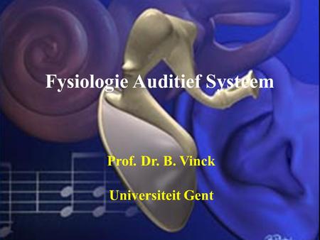 Fysiologie Auditief Systeem