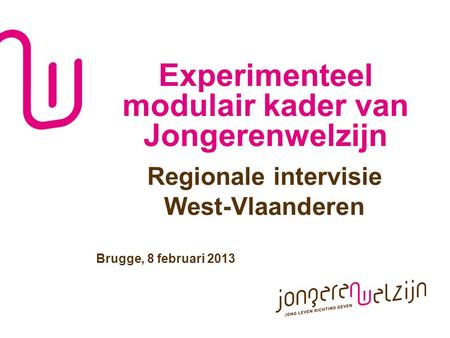 Experimenteel modulair kader van Jongerenwelzijn Regionale intervisie West-Vlaanderen Brugge, 8 februari 2013.