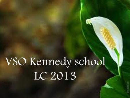 VSO Kennedy school LC 2013.