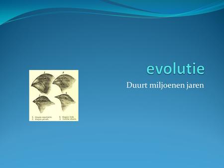 Evolutie Duurt miljoenen jaren.