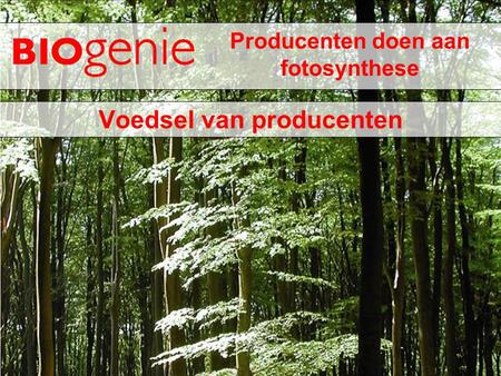 Producenten doen aan fotosynthese