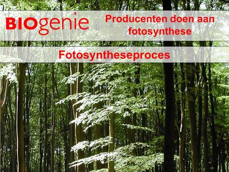 Producenten doen aan fotosynthese