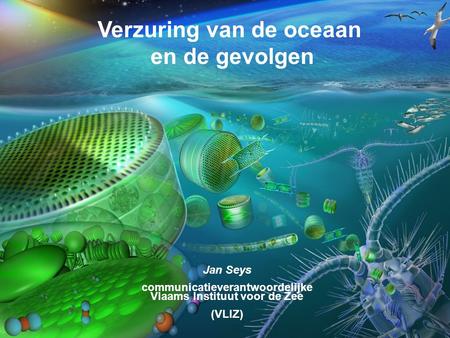VormingPlus Oostende 29 april 08 Verzuring van de oceaan en de gevolgen Jan Seys communicatieverantwoordelijke Vlaams Instituut voor de Zee (VLIZ)