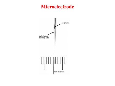 Microelectrode. Microelectrode + Equivalent circuit.