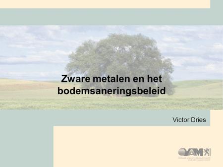 Zware metalen en het bodemsaneringsbeleid Victor Dries.