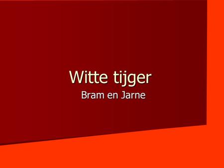 Witte tijger Bram en Jarne.