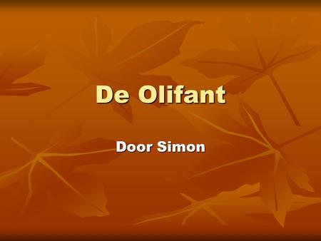 De Olifant Door Simon.