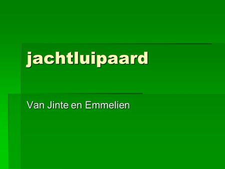 Jachtluipaard Van Jinte en Emmelien.