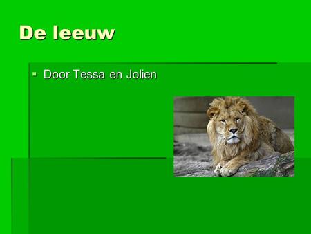 De leeuw Door Tessa en Jolien.