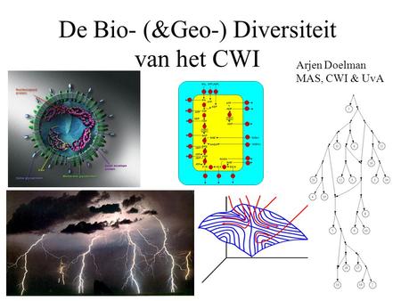 De Bio- (&Geo-) Diversiteit van het CWI Arjen Doelman MAS, CWI & UvA.