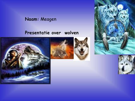 Presentatie over wolven
