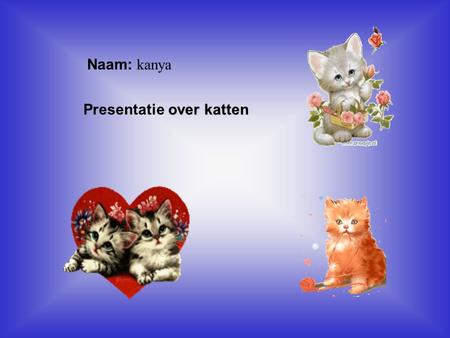 Presentatie over katten