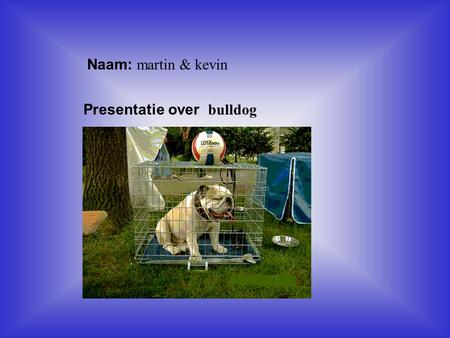 Naam: martin & kevin Presentatie over bulldog Klik op “Naam”. Vul je naam in. Doe hetzelfde met “hobby” Hier kun je een foto / tekening Invoegen.