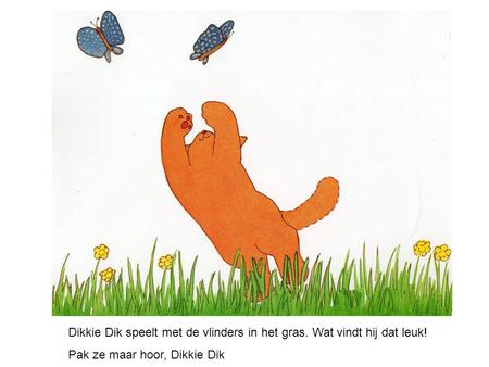 Dikkie Dik speelt met de vlinders in het gras. Wat vindt hij dat leuk!