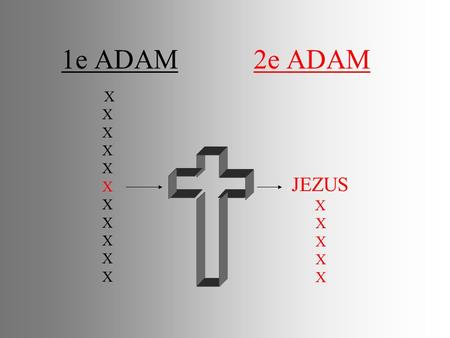 1e ADAM 2e ADAM X JEZUS X.