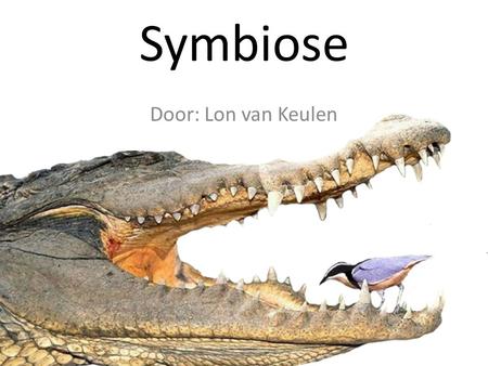 Symbiose Door: Lon van Keulen.