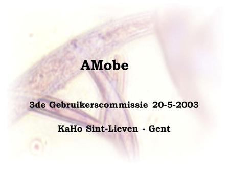 AMobe 3de Gebruikerscommissie 20-5-2003 KaHo Sint-Lieven - Gent.